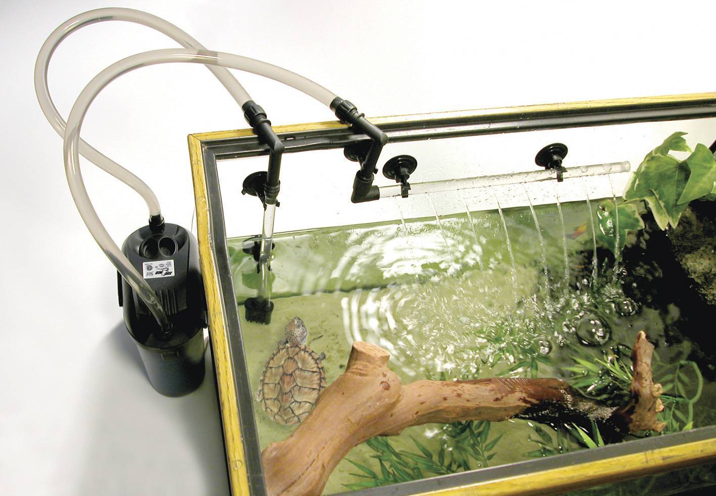 Можно отключать фильтр в аквариуме. Фильтр в аквариум для красноухой черепахи. Фильтр для аквариума внутренний на 100 литров для черепахи. Фильтр для террариума с красноухой черепашкой Aquael. Фильтр для аквариума для черепах красноухих.