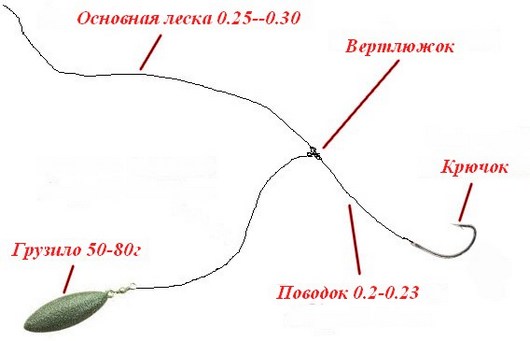 Голавль: снасти, приманки, советы по ловле и прикормке (120 фото и видео)