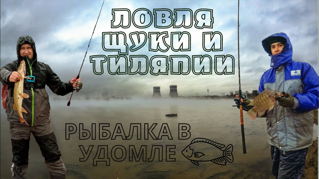 Когда клюет щука? места обитания, календарь, условия и приманки