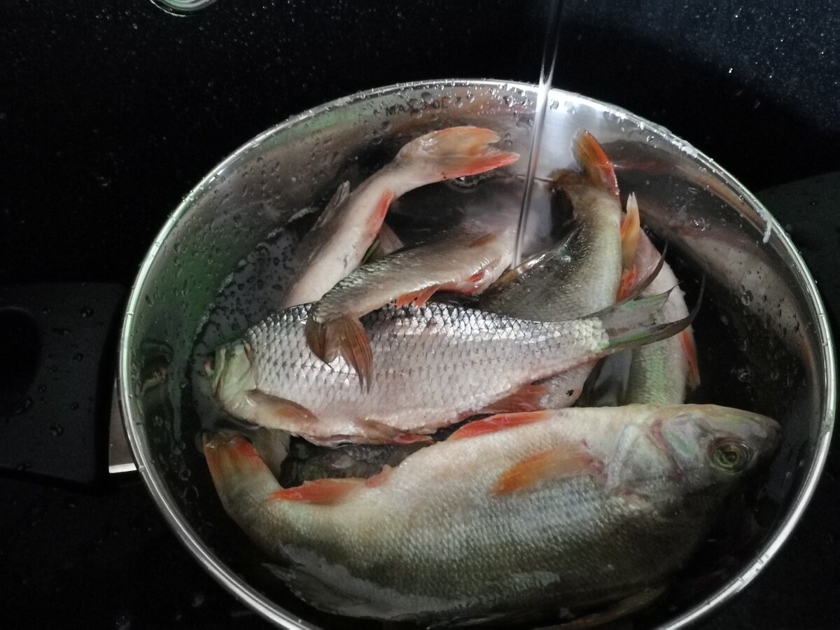 Как посолить рыбу кижуч в домашних условиях вкусно сухим, мокрым способом, с луком и маслом: лучшие рецепты