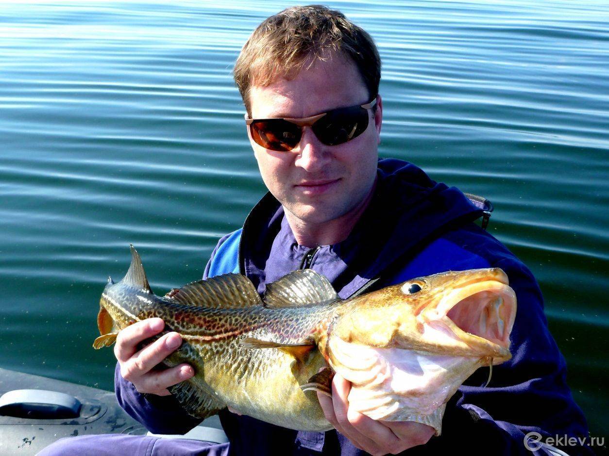 Эксперт рассказал, где в калининградской области и какую рыбу можно поймать новичку