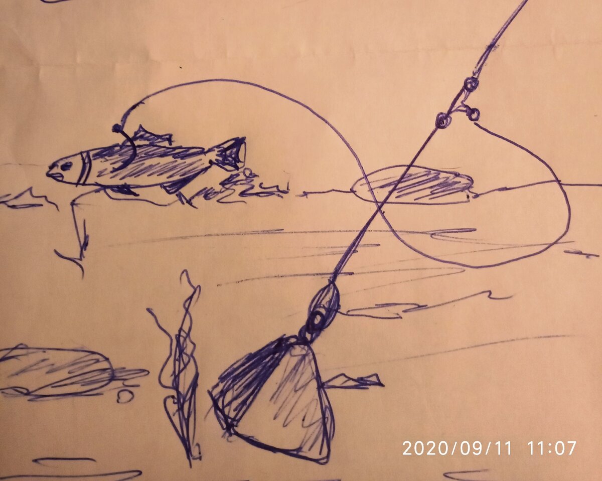 рыбалка на донку с берега