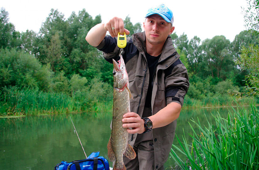 Рыбалка в рязани и рязанской области: платные и бесплатные места куда можно поехать