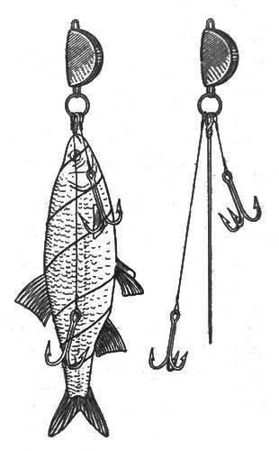 Снасточка для ловли щуки на мертвую рыбку: изготовление, проводка