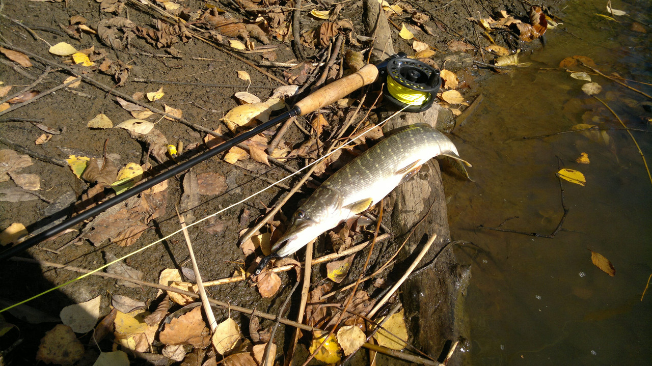 Ловля щуки на спиннинг осенью, рыбалка на реке и озере в сентябре, октябре, ноябре на спиннинг осенней щуки.