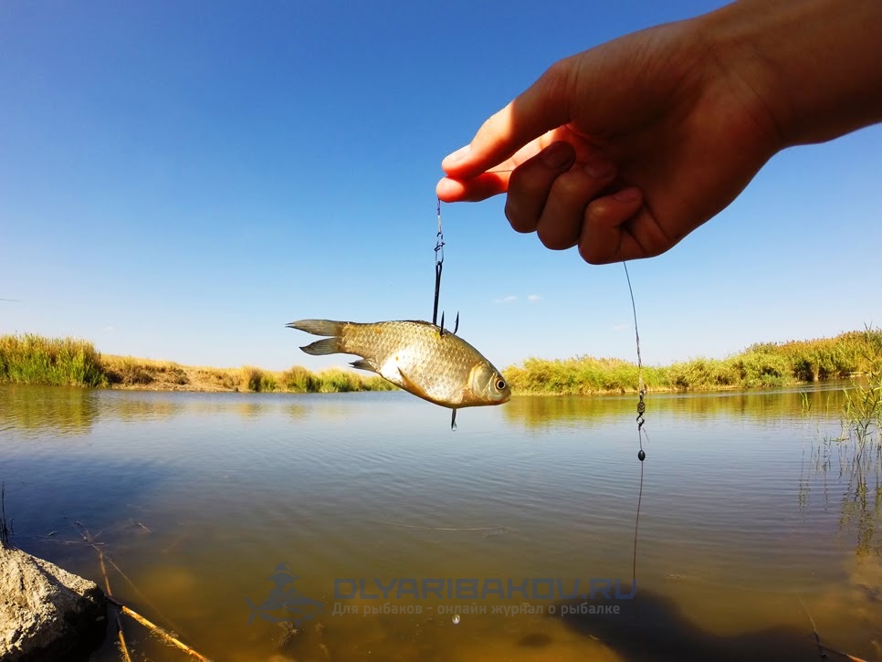 На крючке: как перестать бояться и начать ловить рыбу