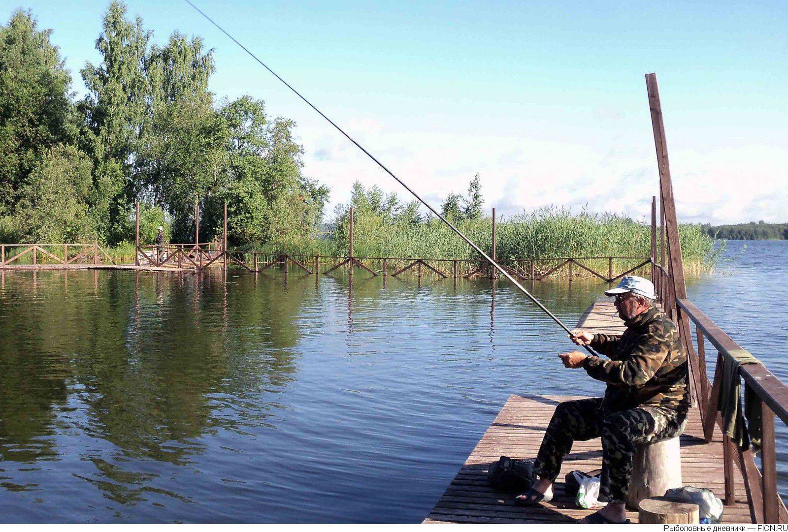 Рыбалка в новгородской области и великом новгороде