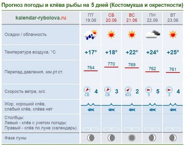 Самый точный прогноз клева с лад балка ставропольский край