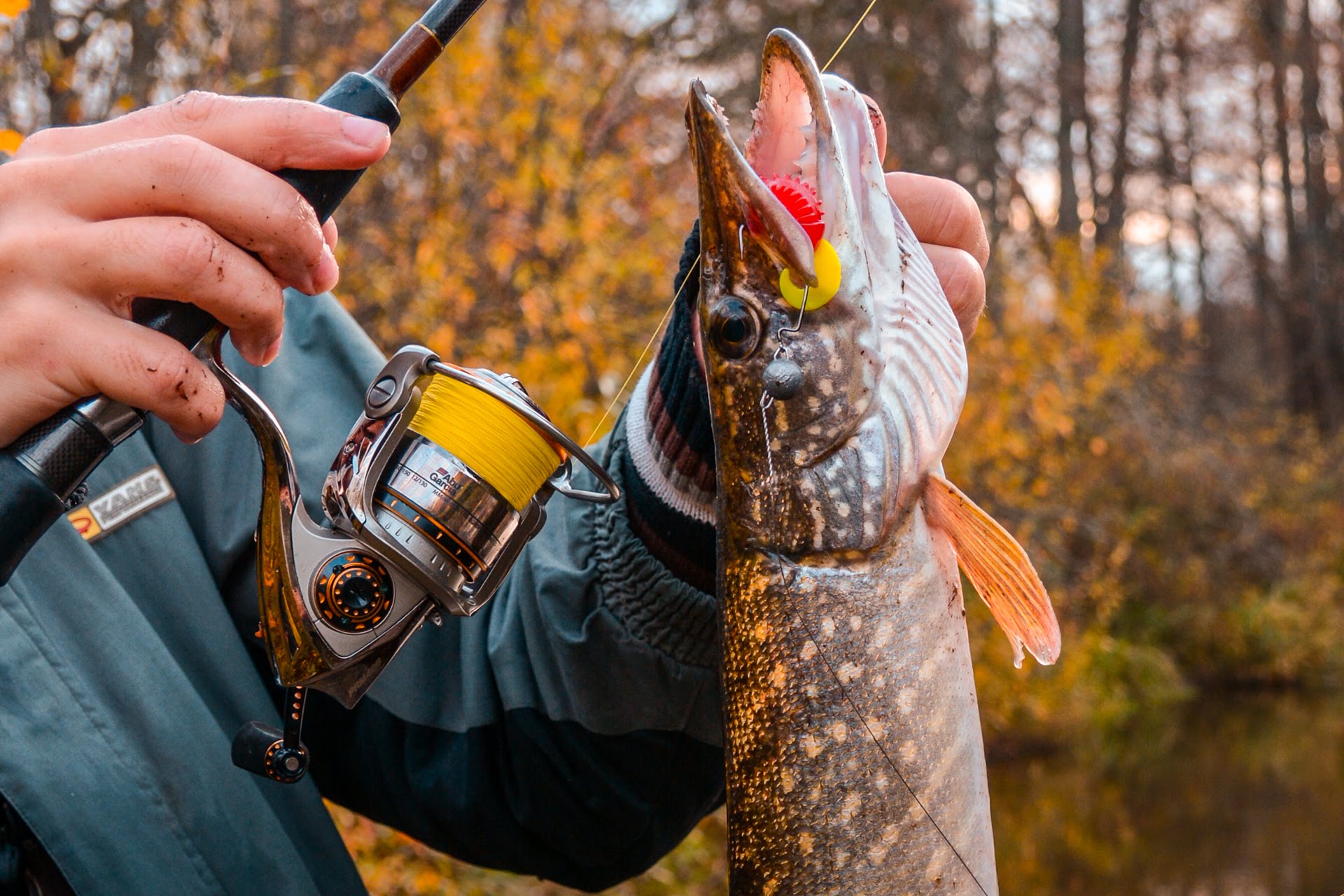 Где можно искать и ловить щуку осенью: особенности рыбалки в разных условиях