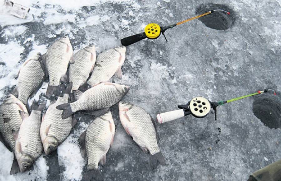 Ловля карася зимой - читайте на сatcher.fish