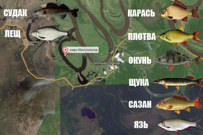 Рыбалка белогорья | карта водоёмов, что и где клюёт. видео обзоры рыбалки