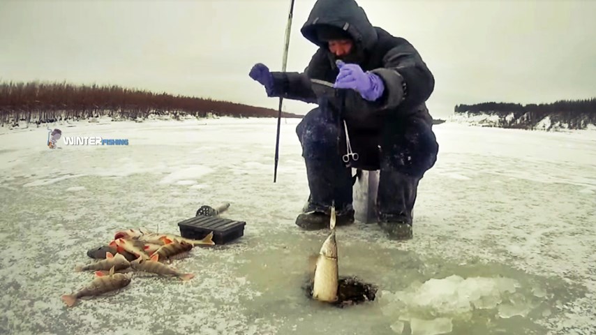 Видео рыбалка 2021: смотреть онлайн ролики о ловле рыбы зимой и летом