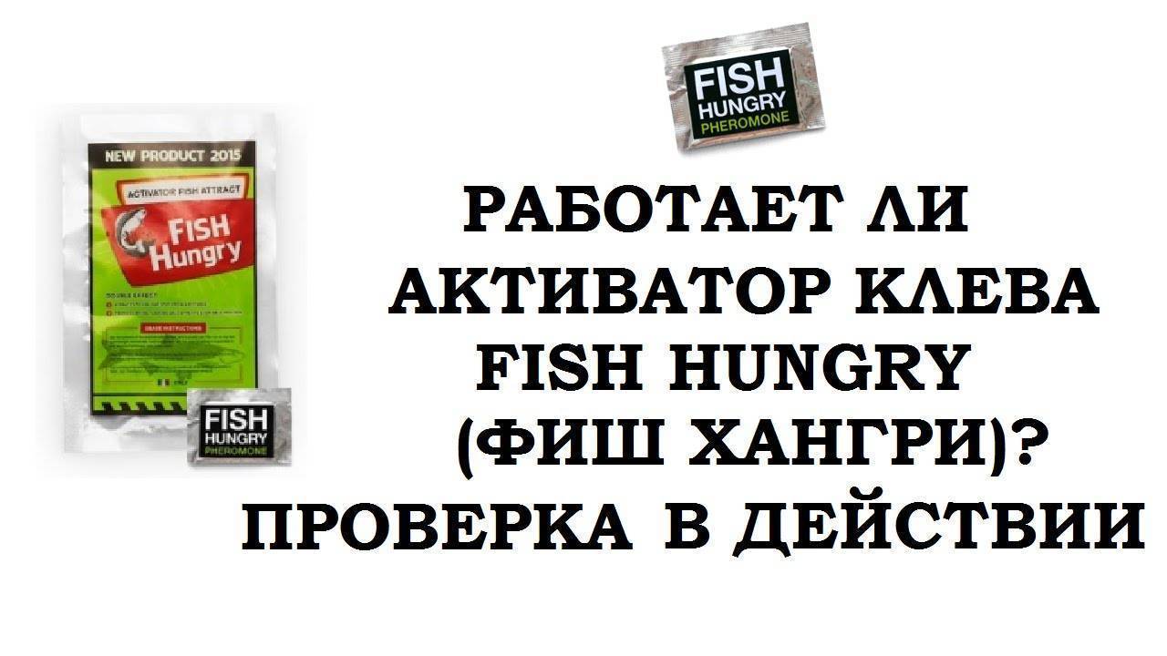 Активатор клева для карася, щуки и других рыб своими руками