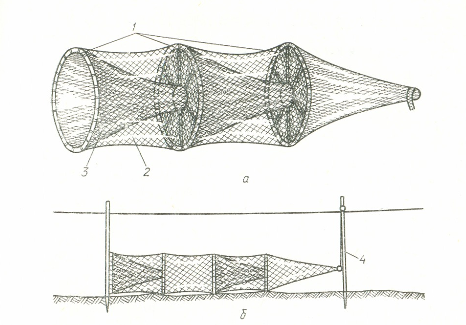 Установка сети. Вентерь рыболовная снасть. Жак, вентерь, мерёжа. Снасть вентерь рыболовная вентерь. Орудие лова вентерь.
