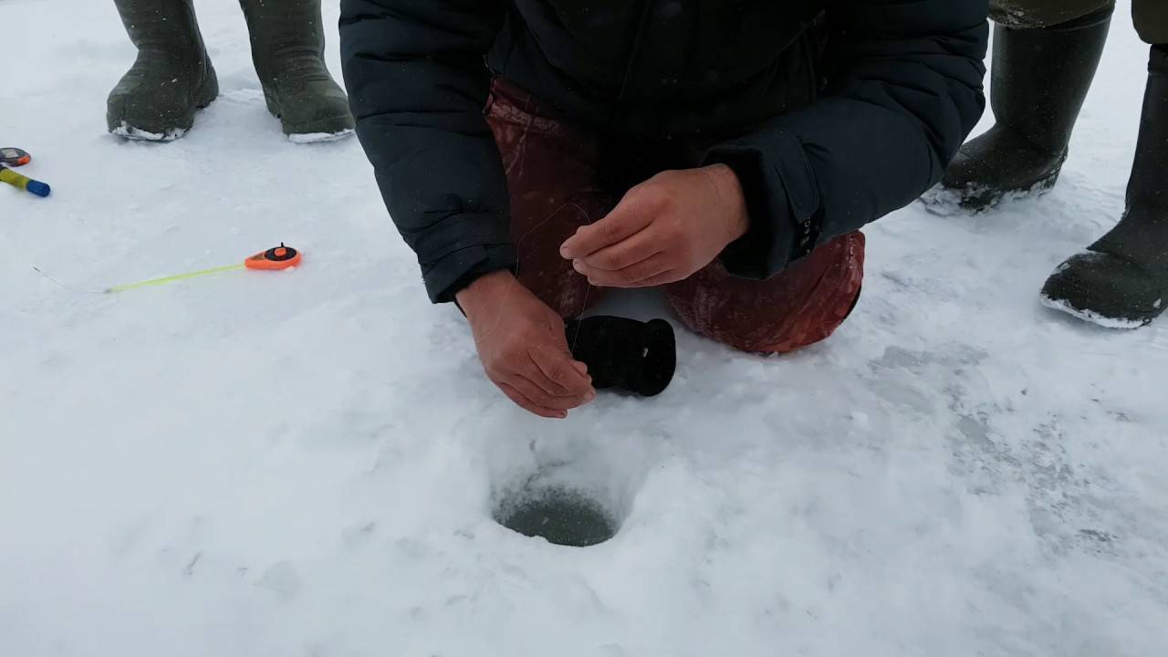 Зимняя рыбалка на леща: снасти для ловли, где искать, поведение рыбы в декабре, январе и феврале