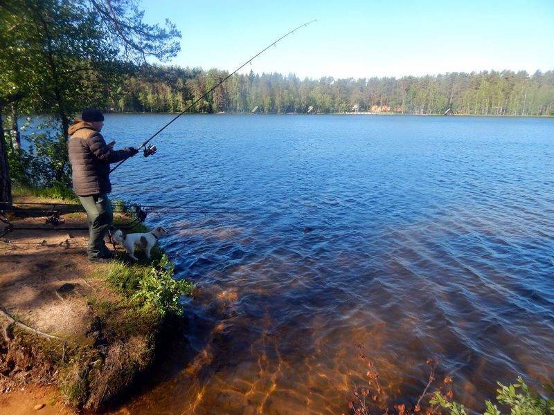 Рыбалка в городе ижевск. рыболовный форум и отчеты