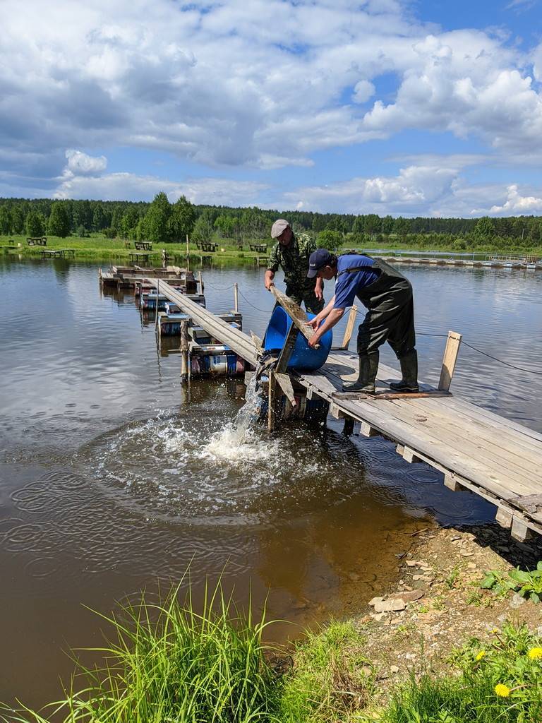 Рыбалка в свердловской области - топ 10 мест | рыбалка на дону