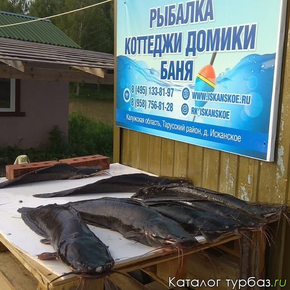 Рыбалка в калужской области: подробная информация