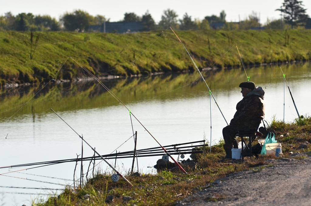 Рыбалка в хабаровском крае: лучшие места на карте топ-10