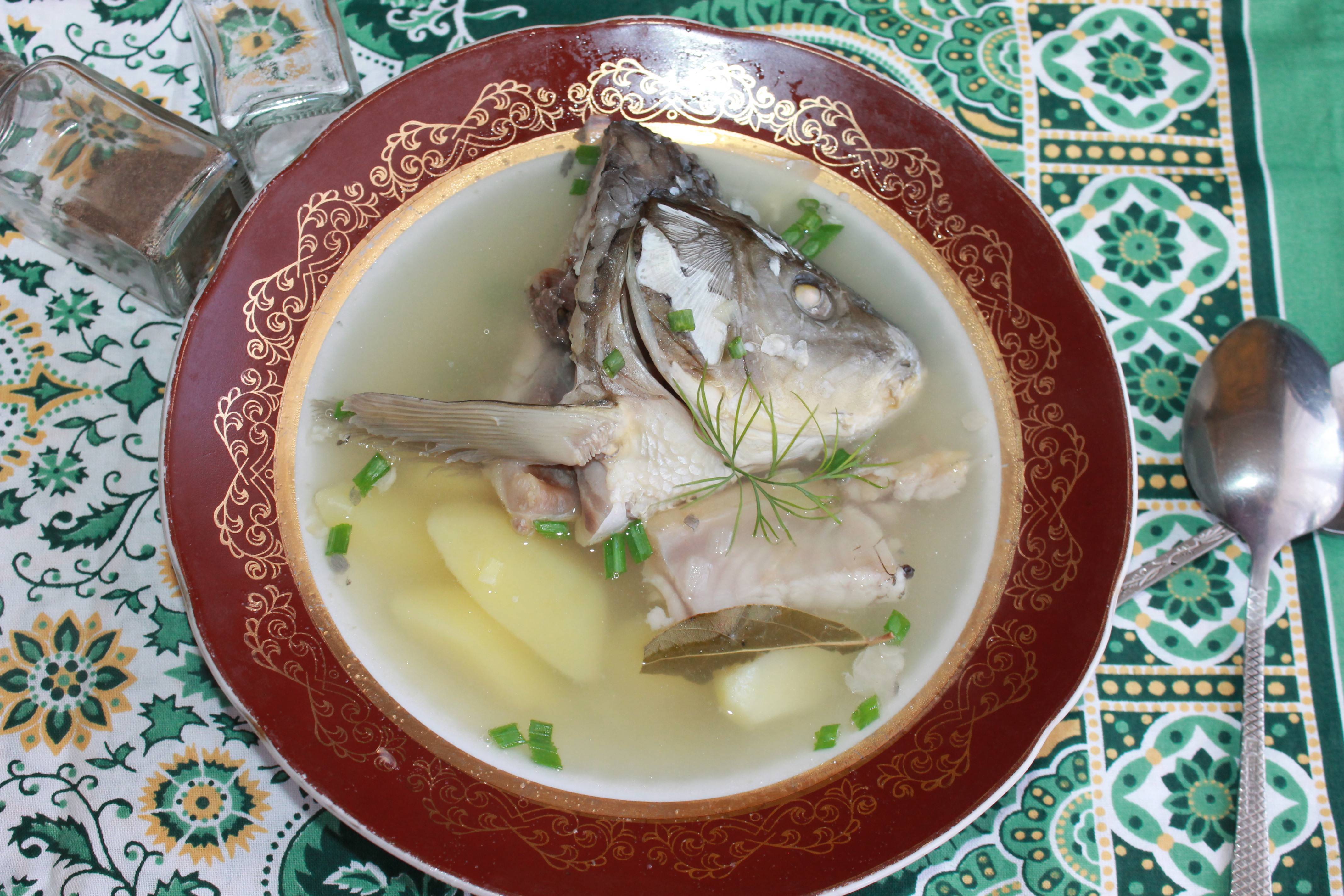 Уха из сазана: рецепты, приготовьте рыбный суп вкусным