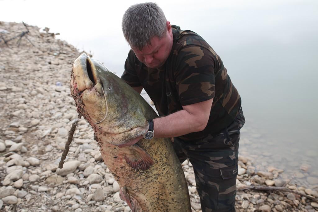 Рыбалка в украине: 37 лучших рыбных мест с хорошим клевом