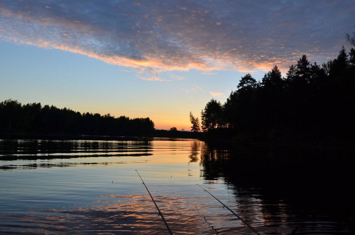 Ночная рыбалка: о рыбах-"полуночниках" и способах их ловли