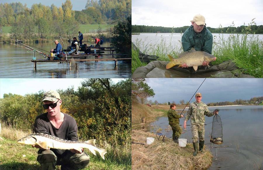 Самарское общество охотников и рыболовов