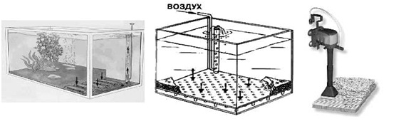 Фильтры для аквариума: виды, какой выбрать, рейтинг лучших