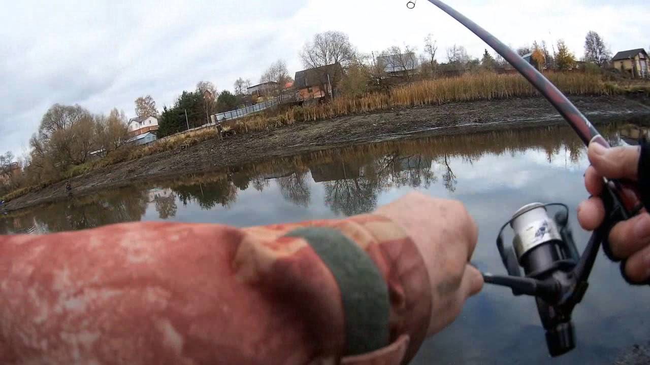 Ловля плотвы в проводку на реке видео – рыбалка онлайн