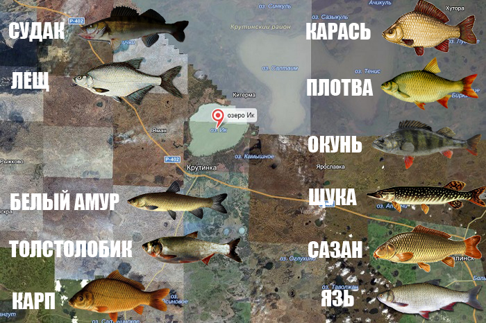 Рыбалка в ленинградской области - читайте на сatcher.fish