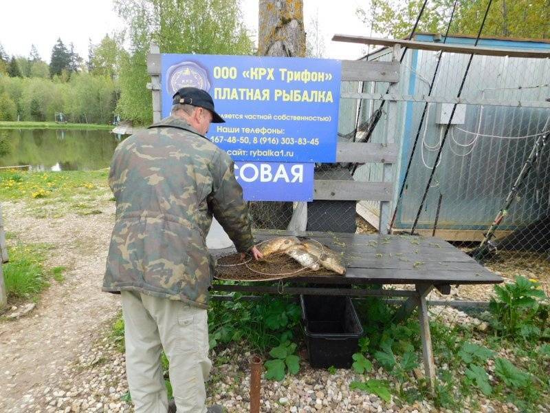 Платная рыбалка в липецкой области: каталог платников