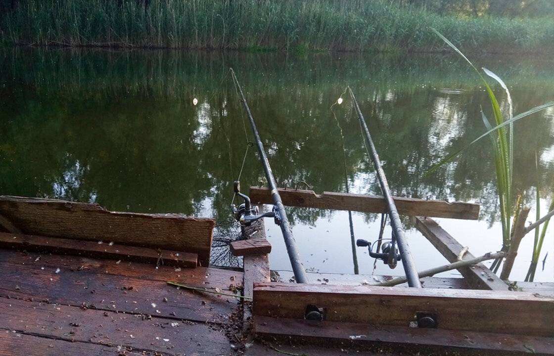 Рыбалка на дону — способы ловли, лучшие места для рыбалки на реке дон - fishingwiki