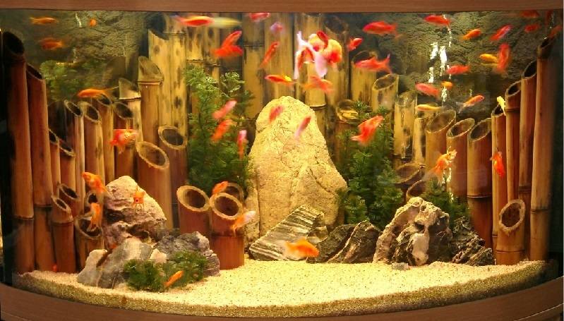Декоративный аквариум: как украсить, декорации своими руками