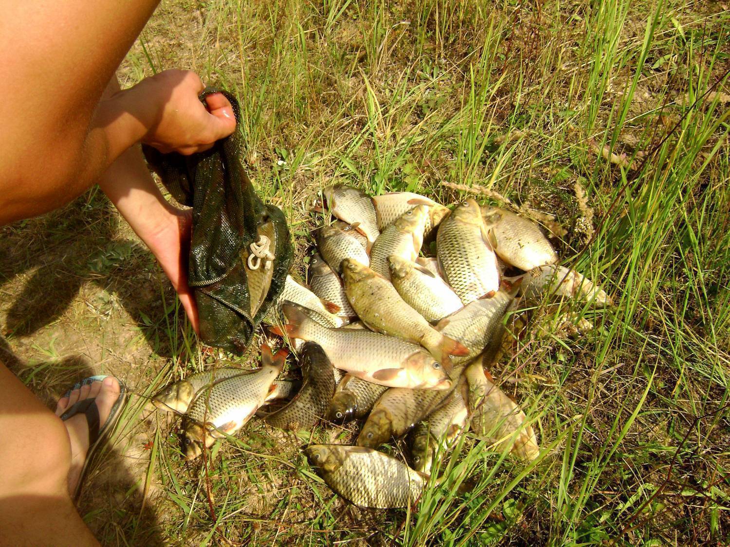 Места для рыбалки в ростовской области – платная и бесплатная рыбалка!