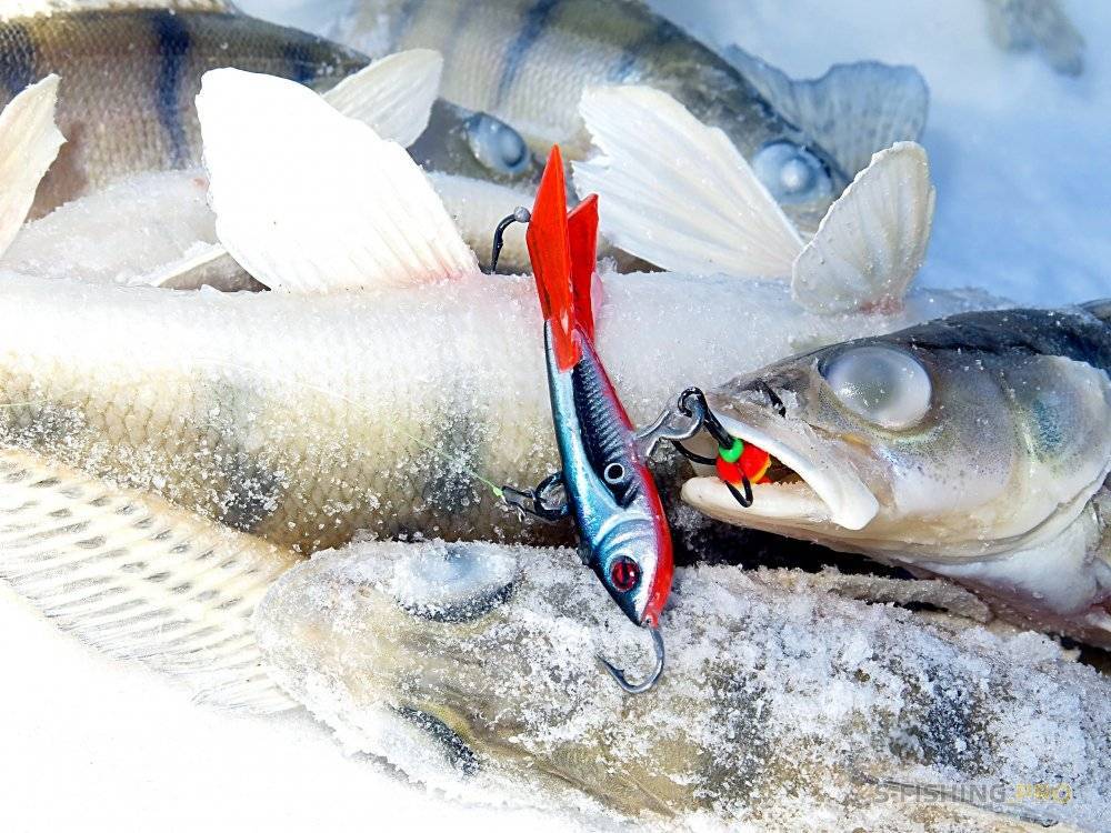 Раттлины и вибы для зимней рыбалки на судака