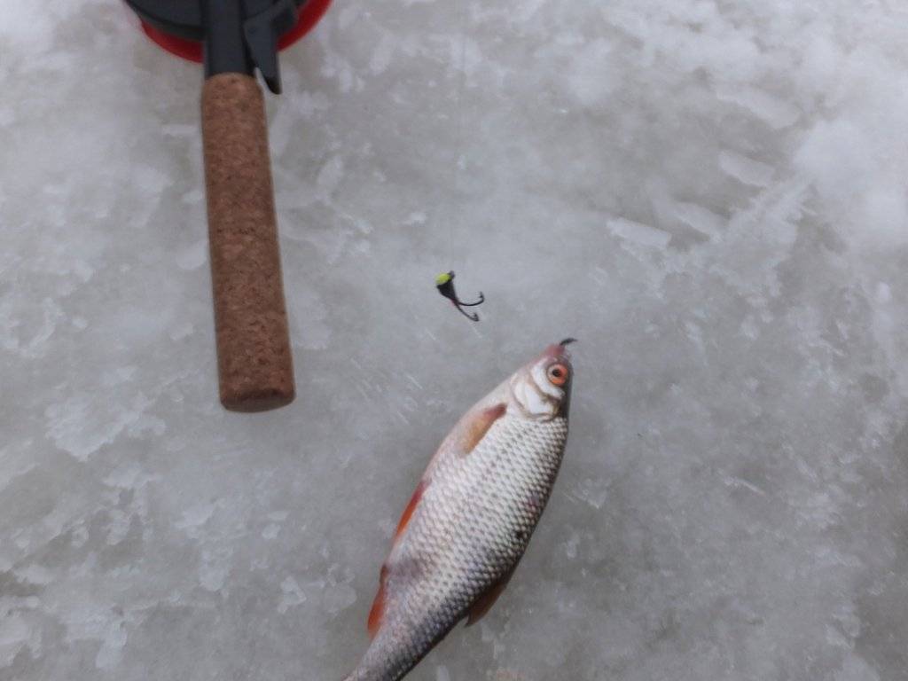 Зимняя рыбалка на мормышку - тактика и техника ловли