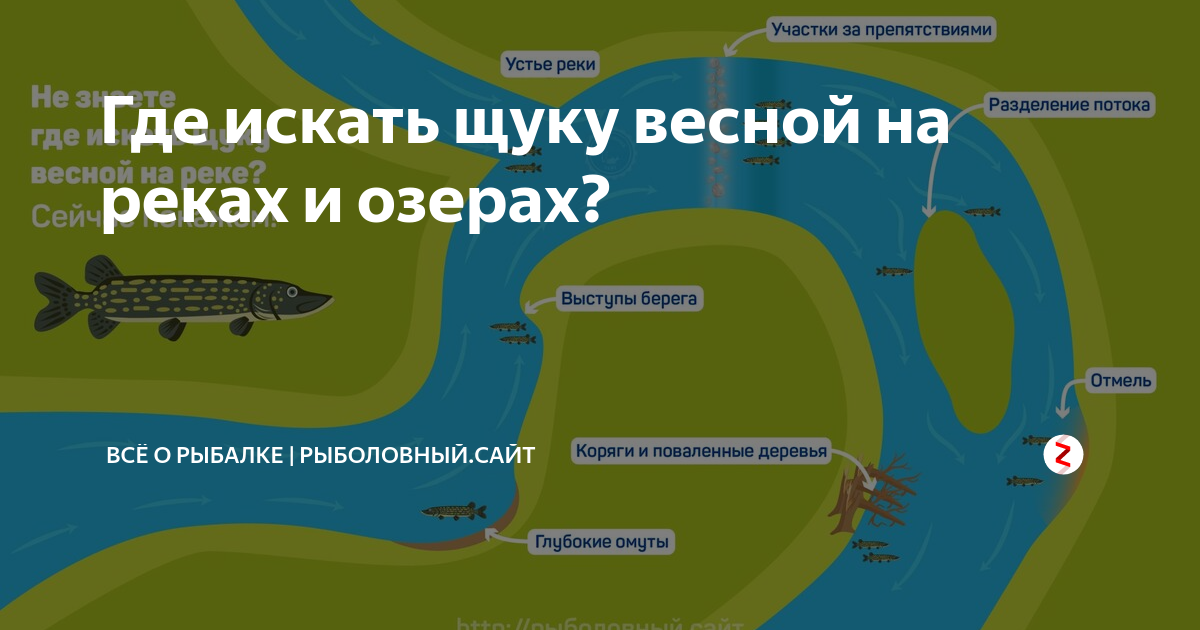 Где ловить судака в ленинградской области?