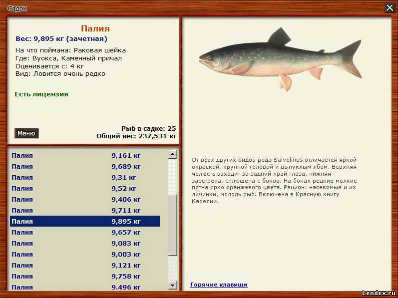 Рыба арапаима - описание, места обитания, ловля