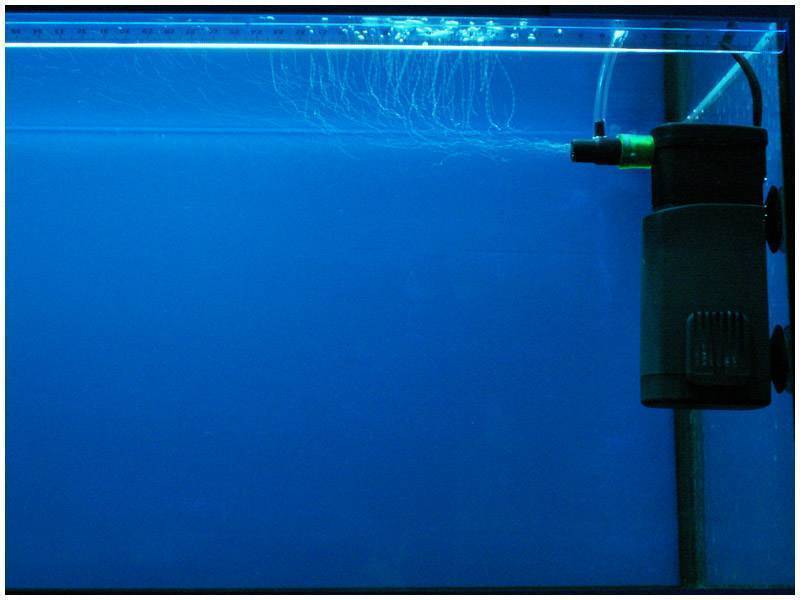 Как поставить фильтр в аквариум: работаем с внешними и внутренними очистными системами