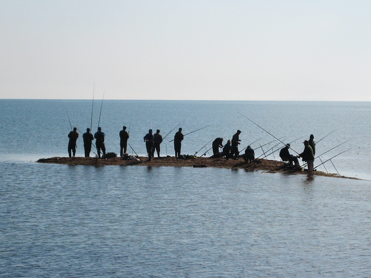 Кто водится в азовском море, особенности рыбалки