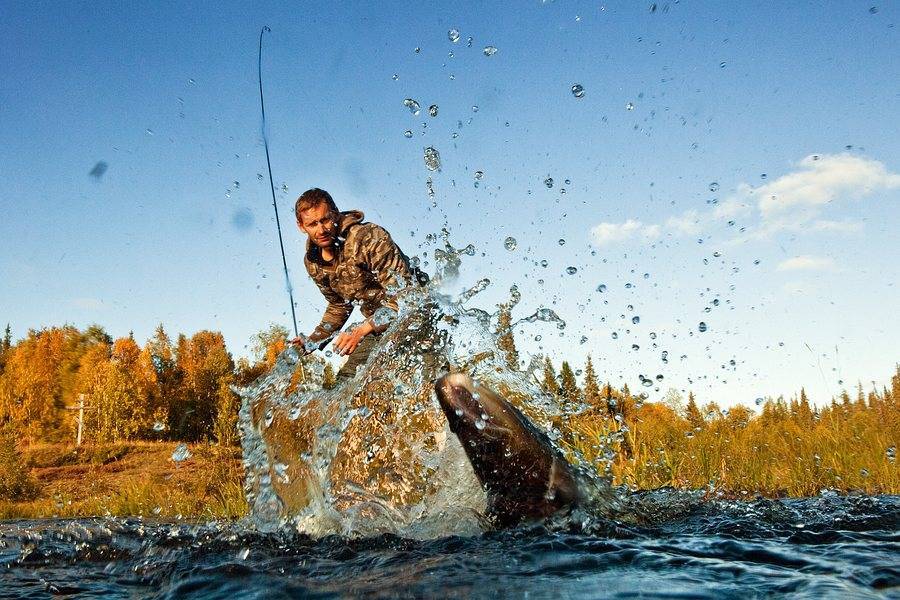 Что такое подсечка при рыбалке и как правильно подсекать рыбу?