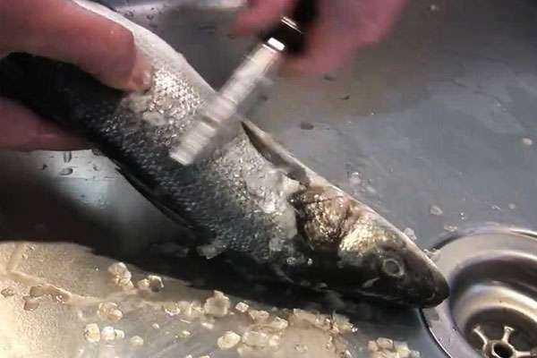 Без труда почистим рыбку из пруда: чистка окуня за считанные минуты