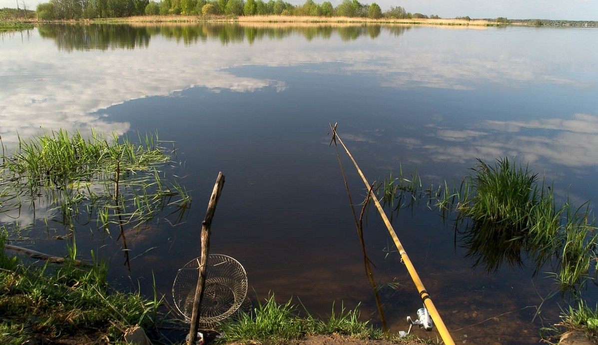 Рыбалка белгородской области – обзор водоёмов