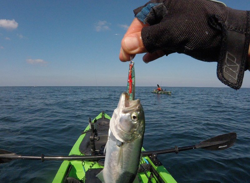 Рыбацкие хитрости: секреты успешной рыбалки
