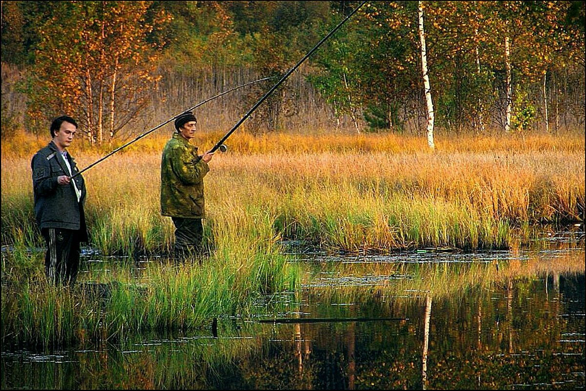 «медвежьи озера», щелковский район: отдых, рыбалка, отзывы