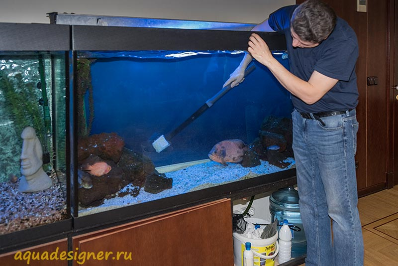 Как ухаживать за рыбками в аквариуме- содержание, фото и видео