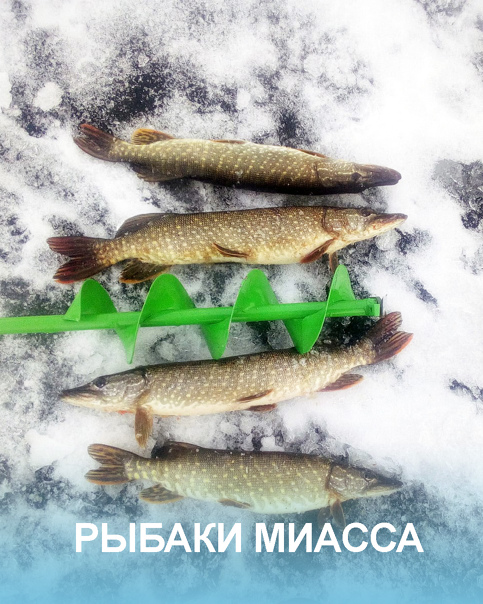 15 лучших рыболовных мест забайкальского края | животный мир