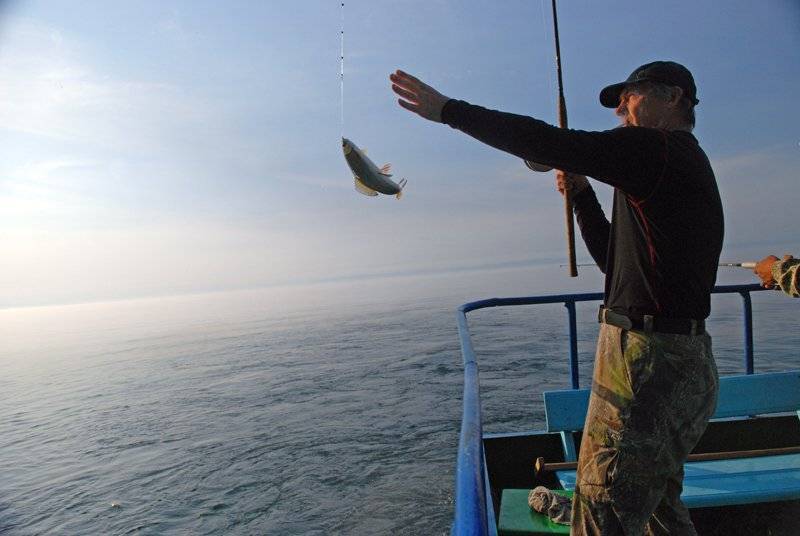 Секреты рыбалки на черном море с берега и плавсредства - читайте на сatcher.fish