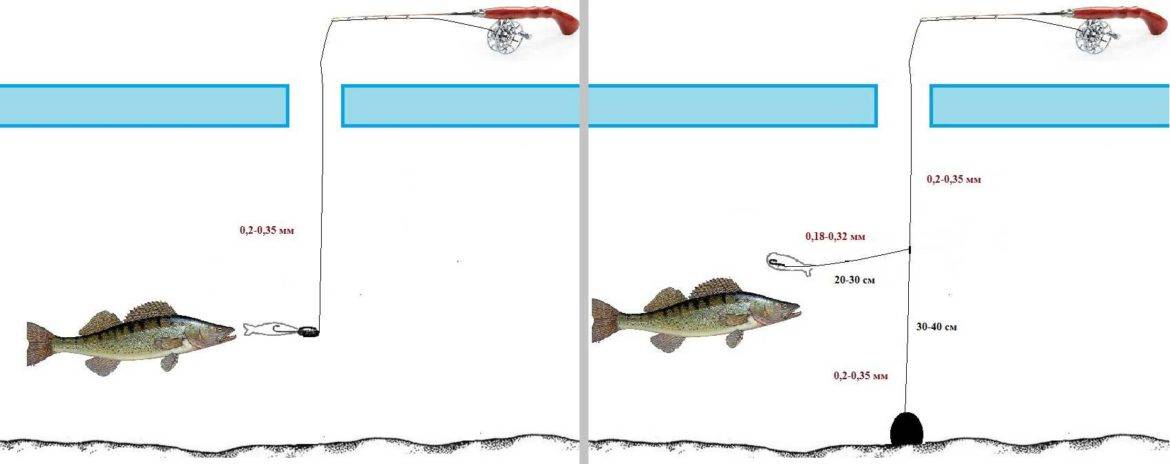 Снасть на судака: какую лучше использовать для ловли на живца с берега, популярные виды для ловли зимой, осенью и летом