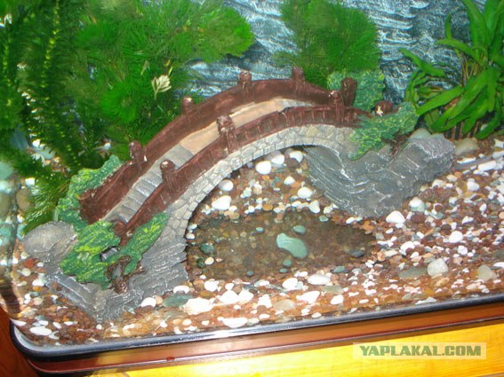 Декорации для аквариума своими руками из камней фото